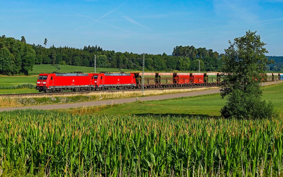 Tren de mercancías por una zona rural verde 