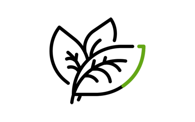 iconos_Hojas-Verde-Negro